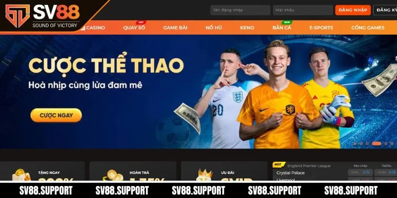 Giới thiệu sơ lược website